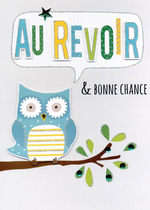 Carte Au Revoir Bonne Chance Hibou Boutique La Fiesta